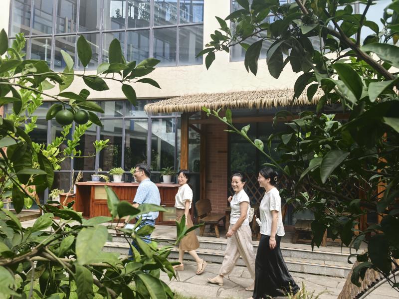 IMG_20250901_143758.jpg IMG_20250901_143758.jpg